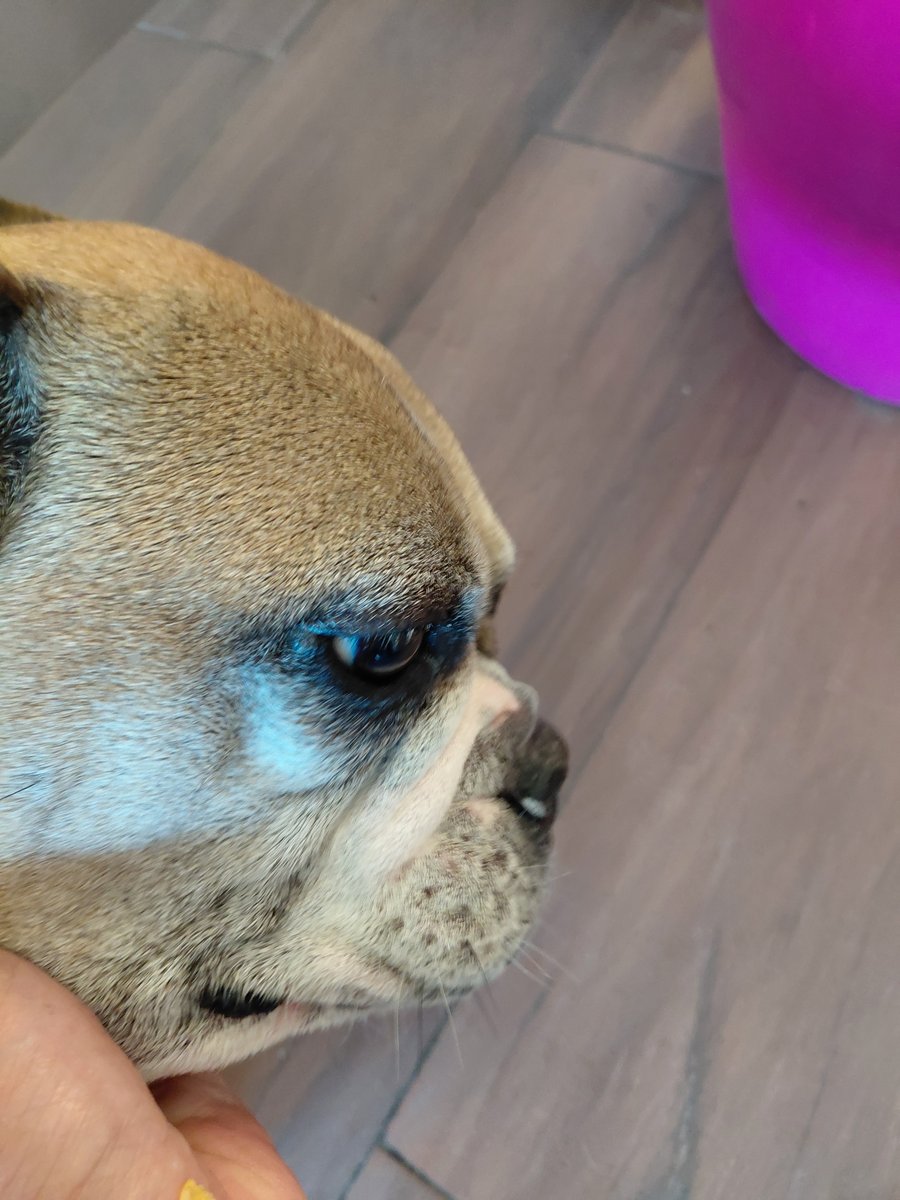 Foto de perfil de Malaica