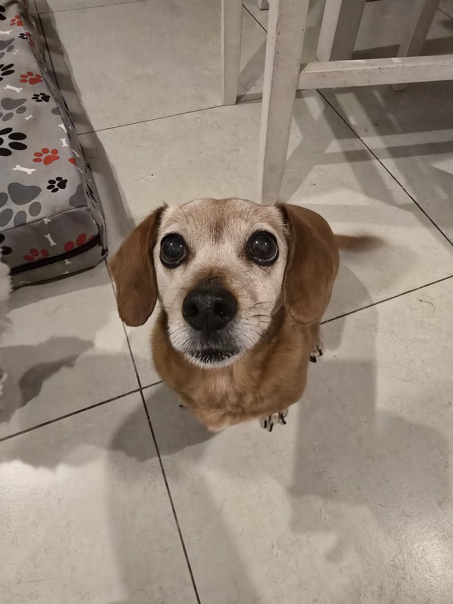 Foto de frente de Olivia