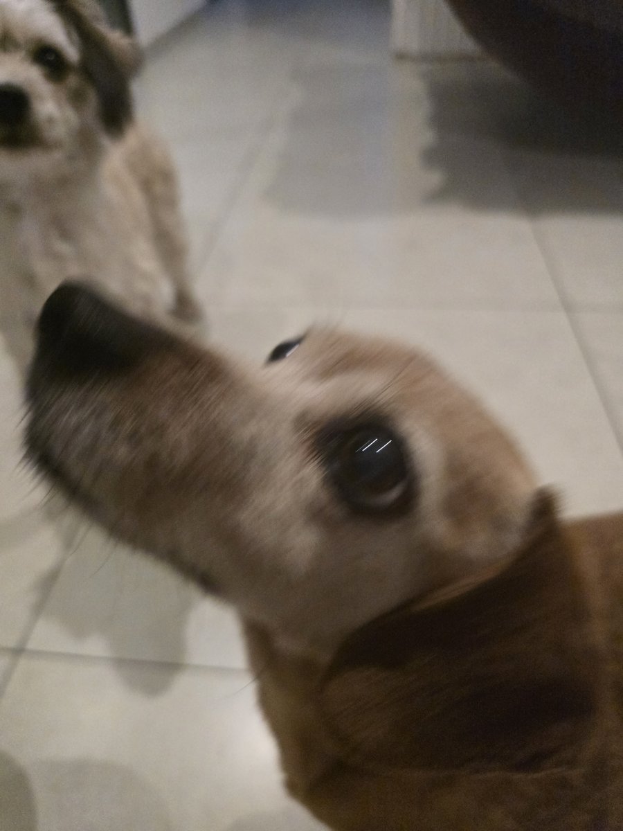 Foto de perfil de Olivia