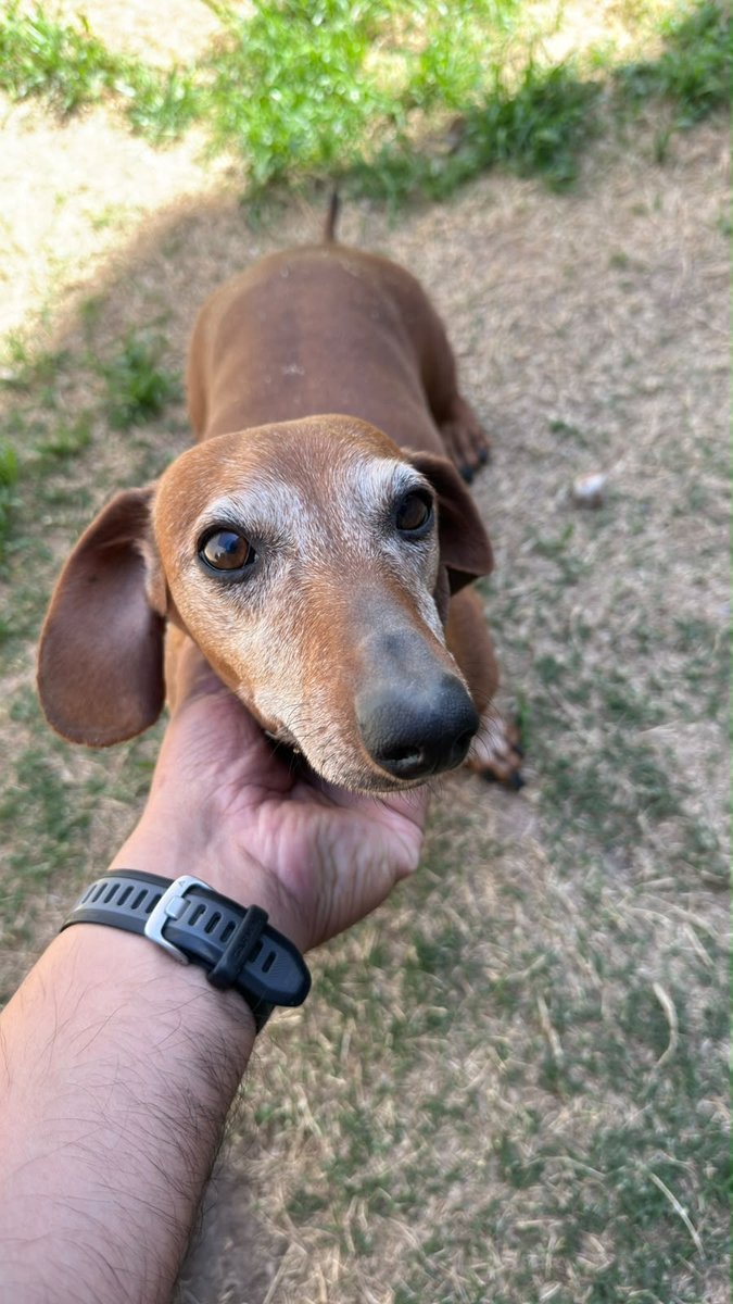 Foto de frente de Bruna