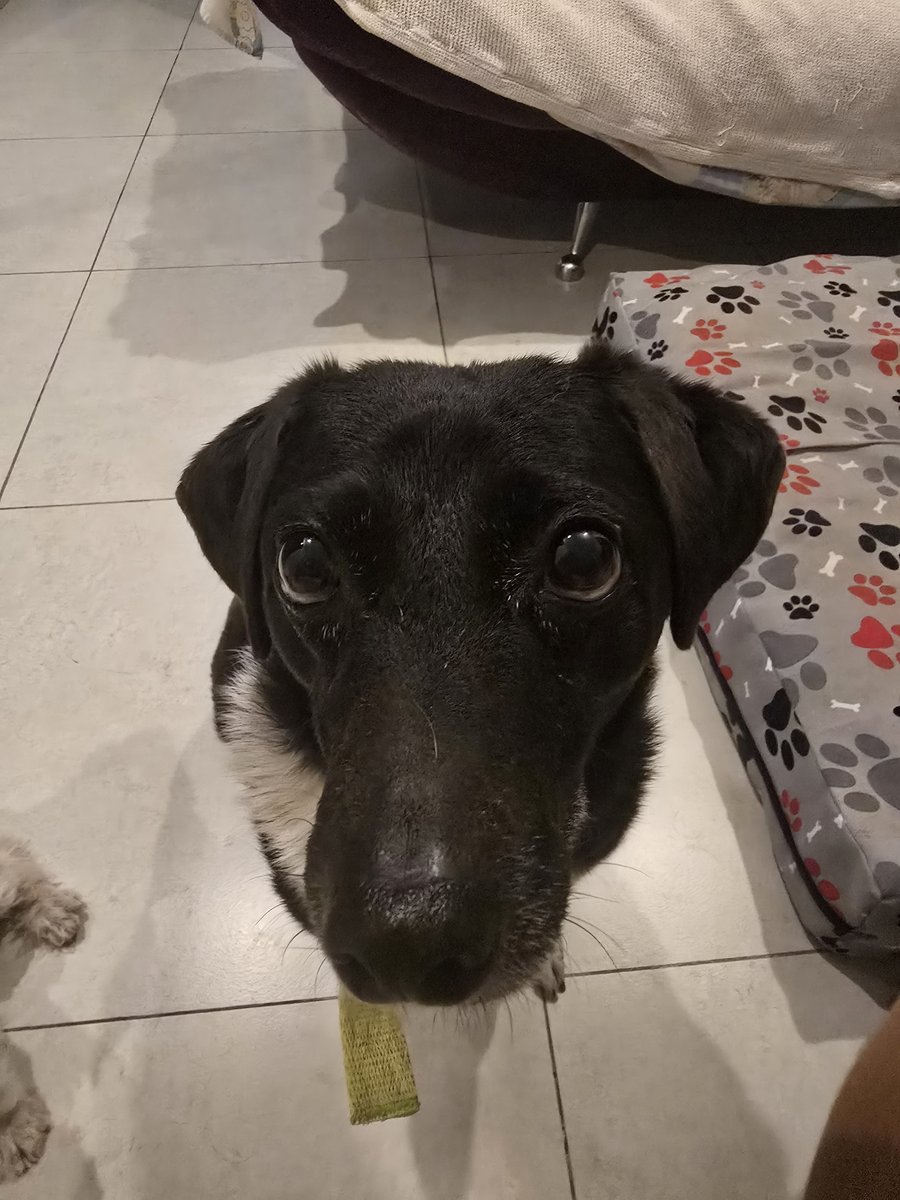 Foto de frente de Sofia