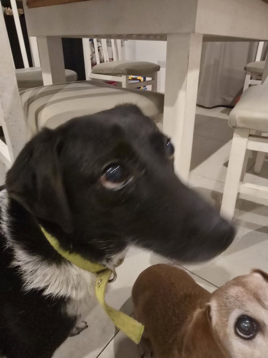 Foto de perfil de Sofia