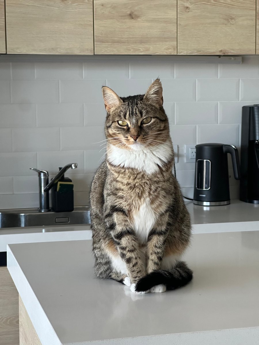 Foto de frente de Kira