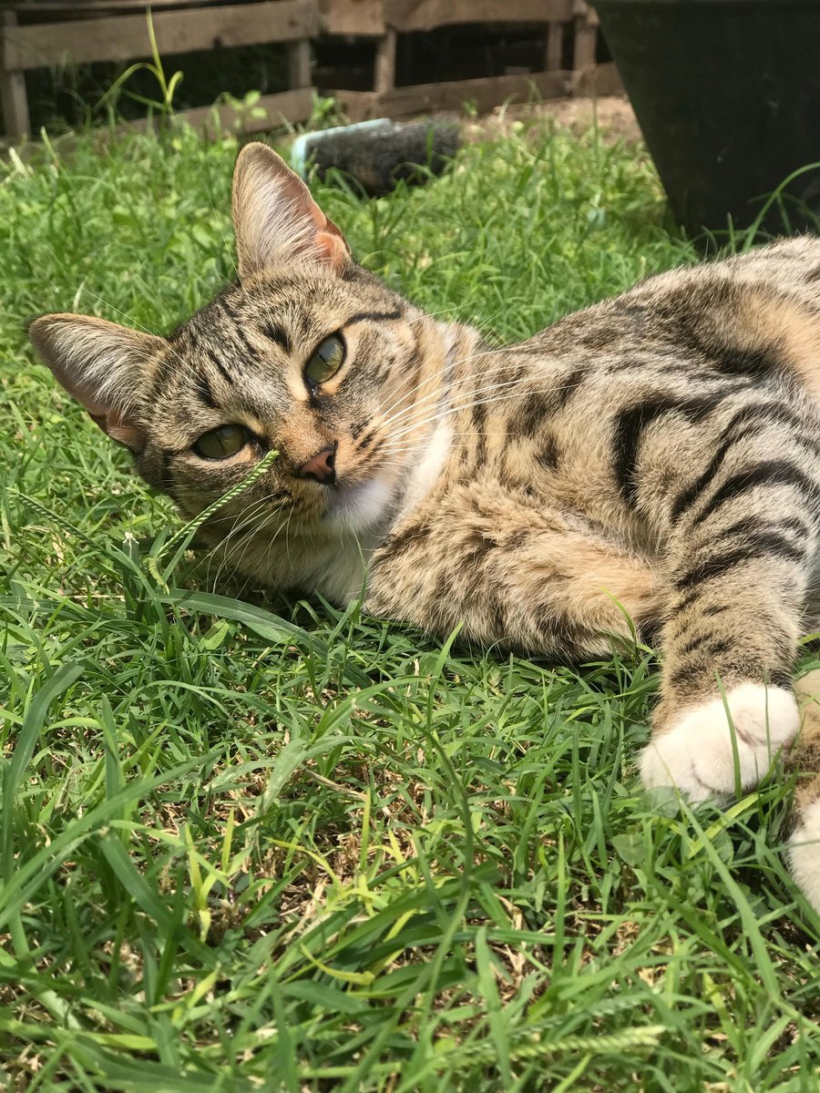 Foto de perfil de Kira