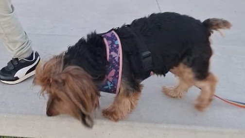 Foto de perfil de Rubi