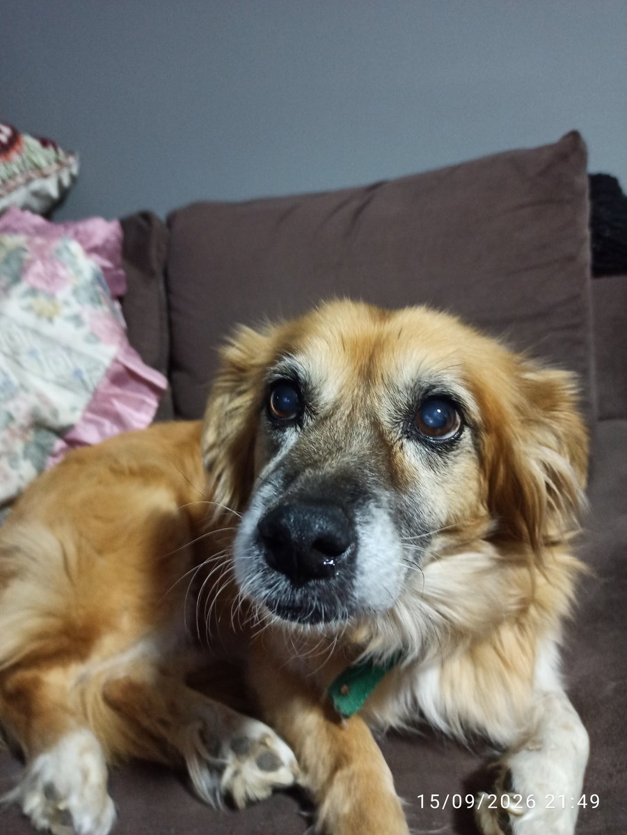 Foto de frente de LOLA