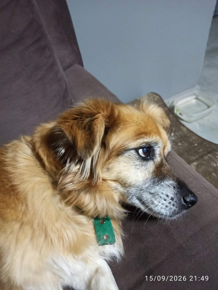 Foto de perfil de LOLA