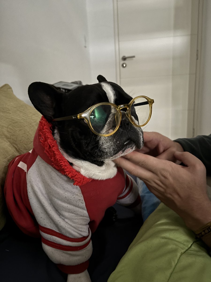 Foto de perfil de Toti Naief Quaranta