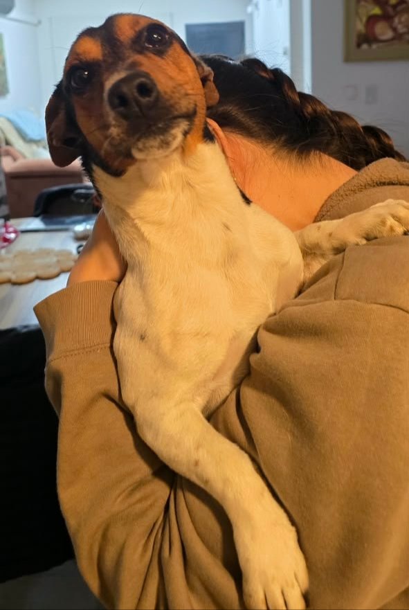 Foto de perfil de Toddy