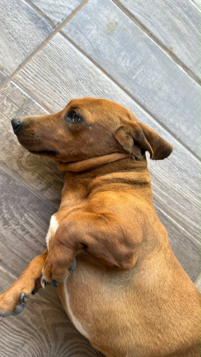 Foto de perfil de Oddie