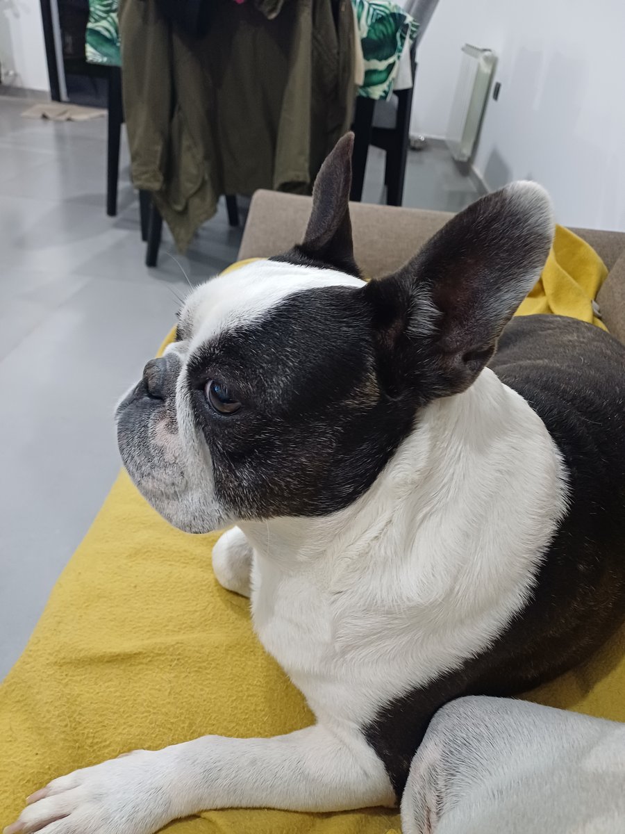 Foto de perfil de Otto