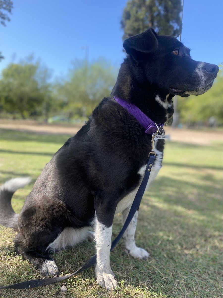 Foto de perfil de Dorotea