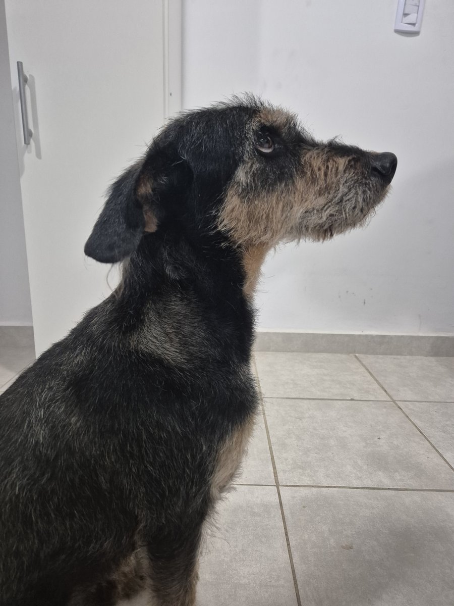 Foto de perfil de Severino