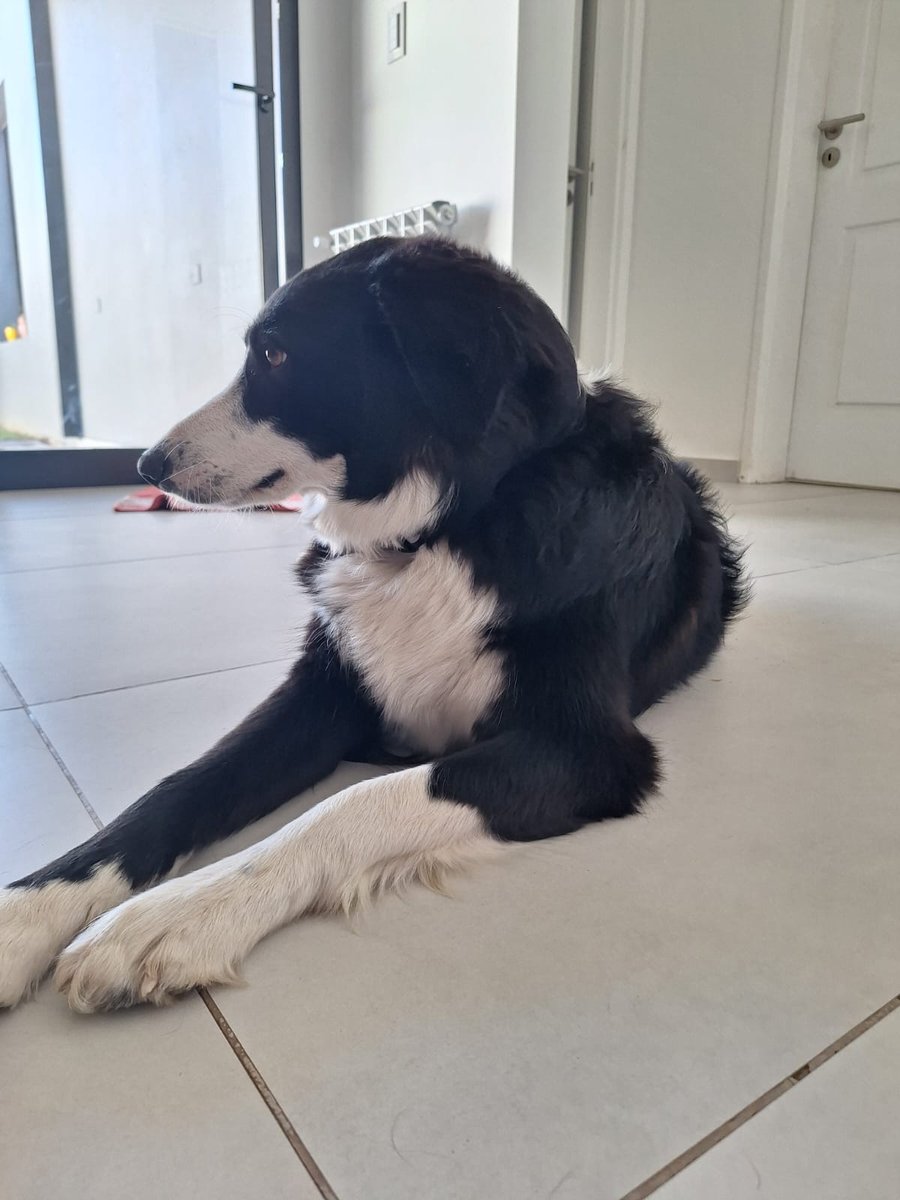 Foto de perfil de Pippa