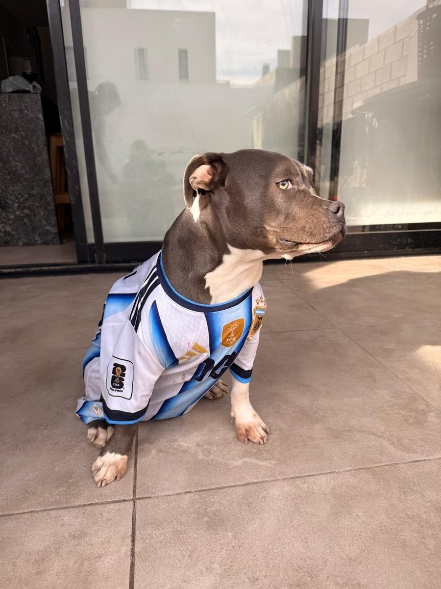 Foto de perfil de URSULA