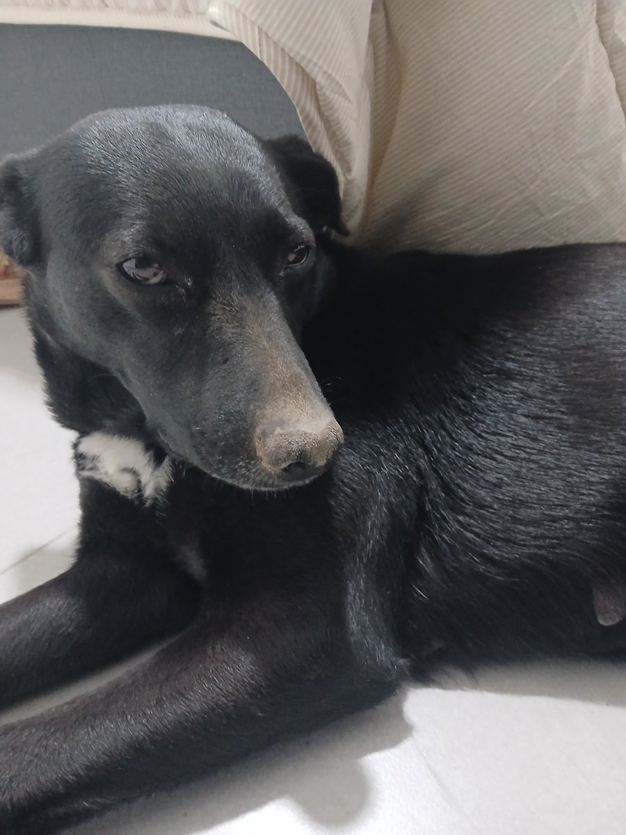 Foto de perfil de Budin