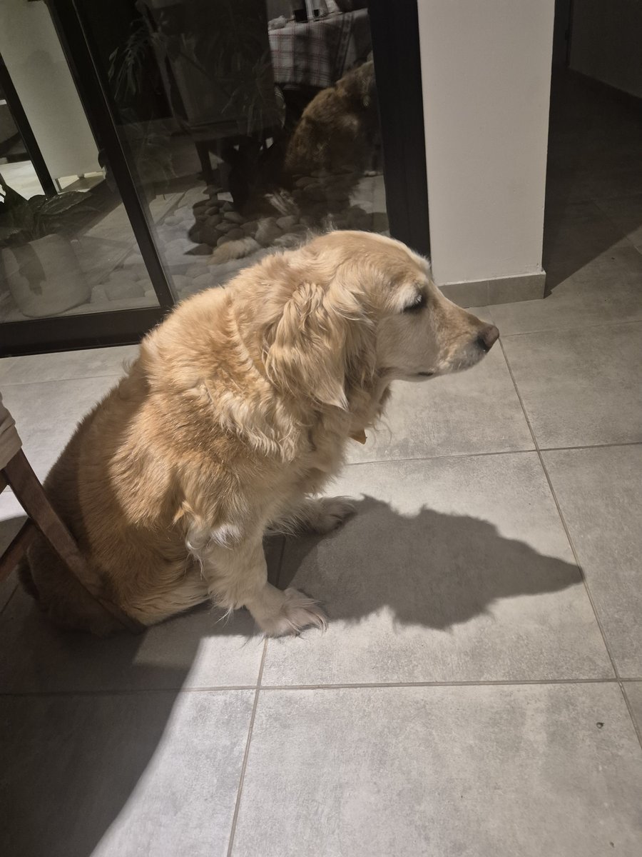 Foto de perfil de Indi