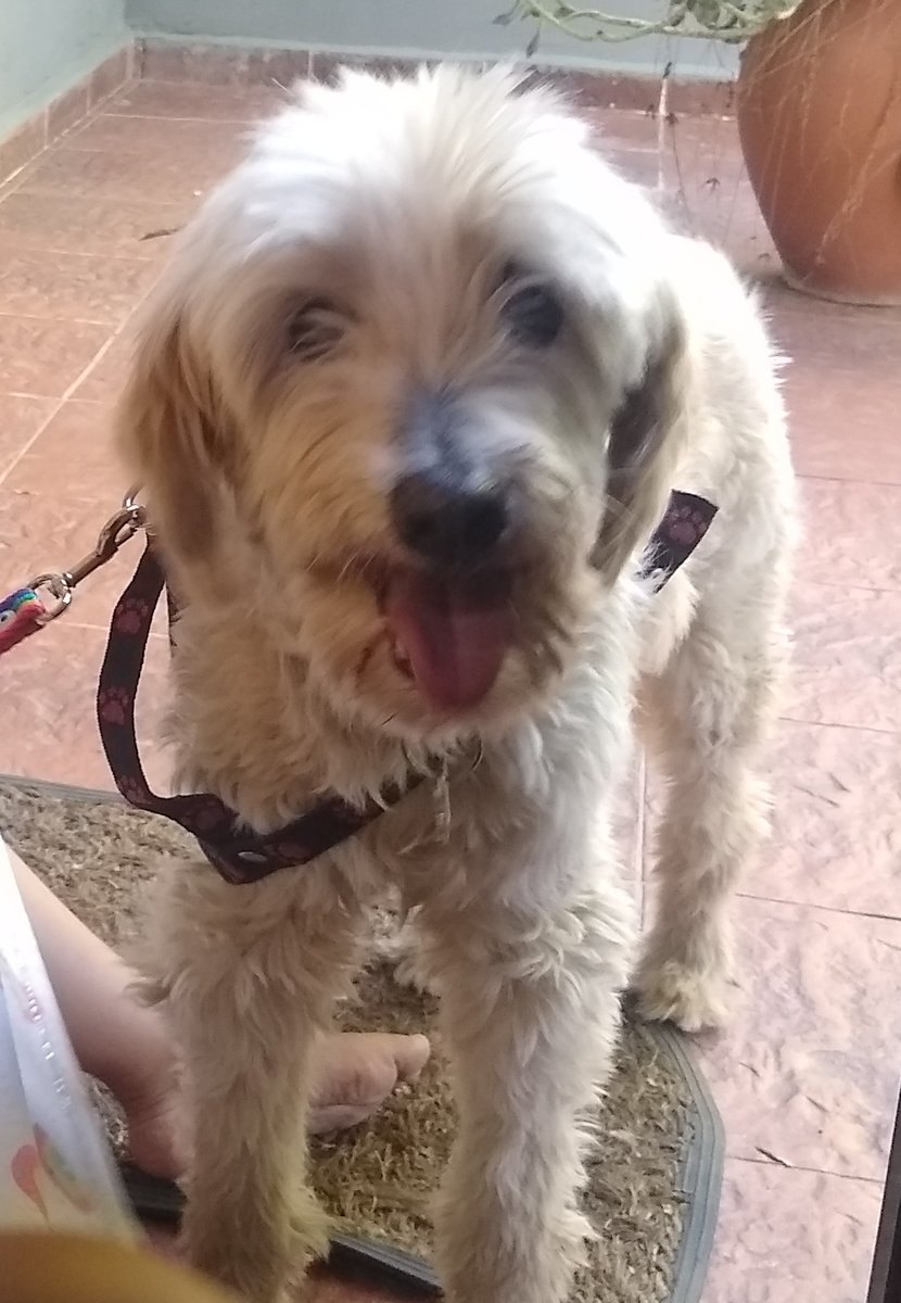 Foto de frente de Tano