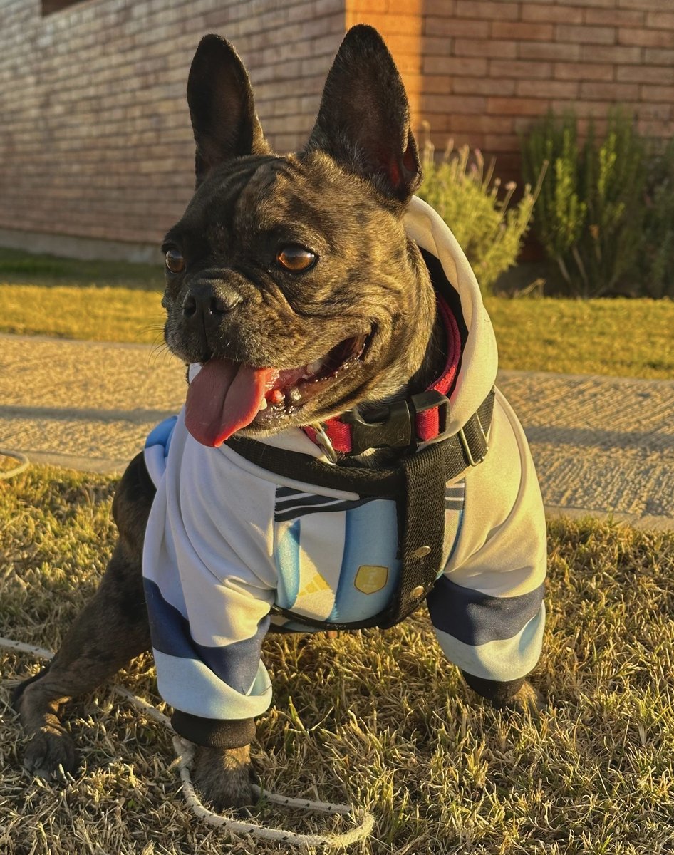 Foto de perfil de Roma