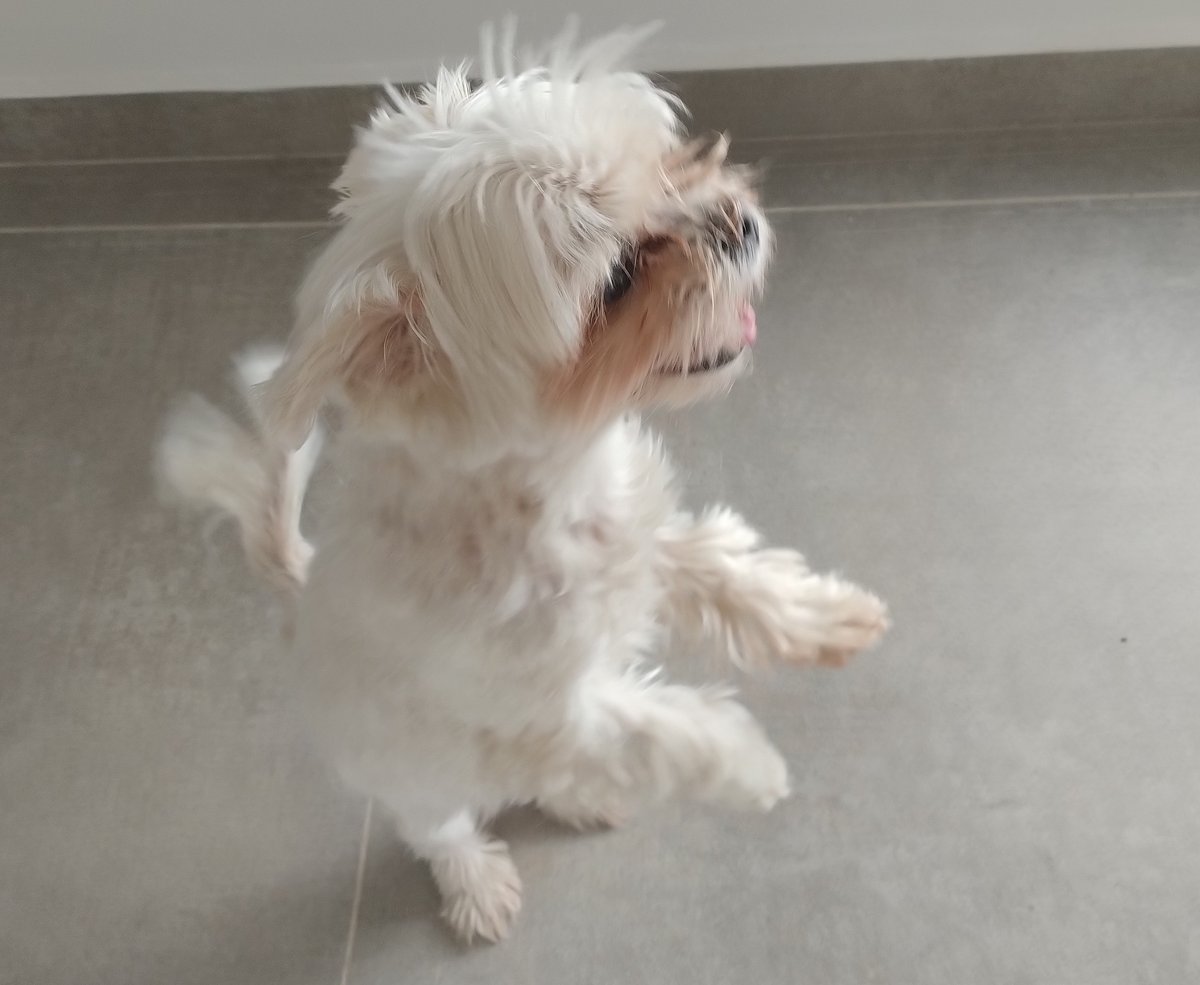 Foto de perfil de Bella
