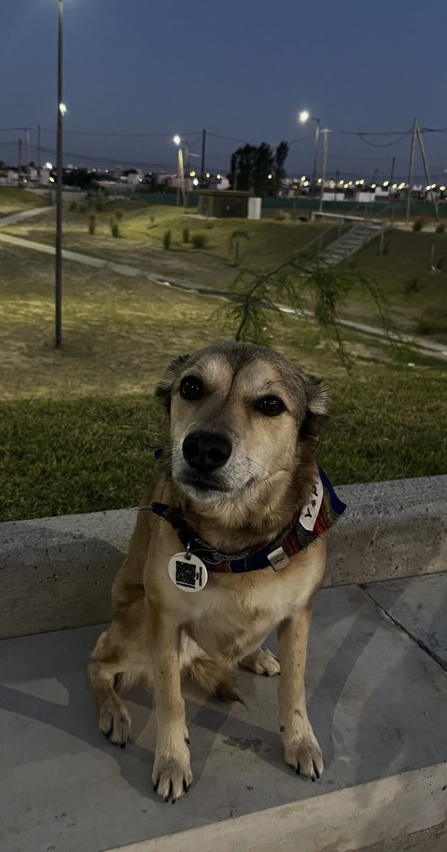 Foto de frente de Lola