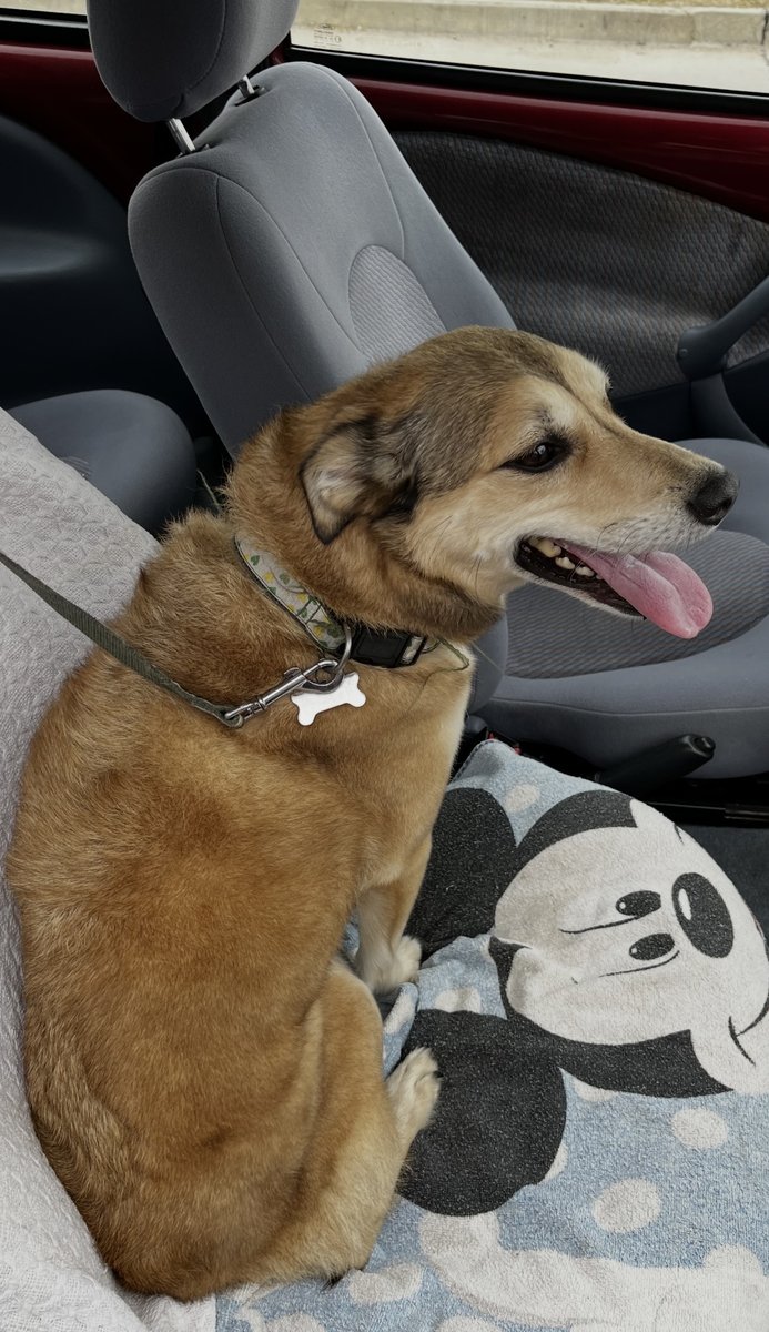 Foto de perfil de Lola