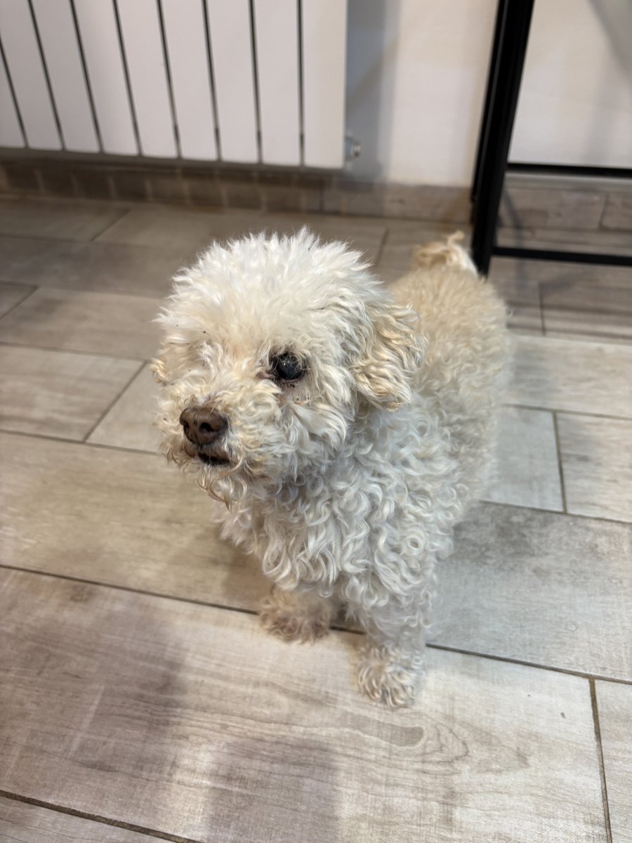 Foto de perfil de Pepa