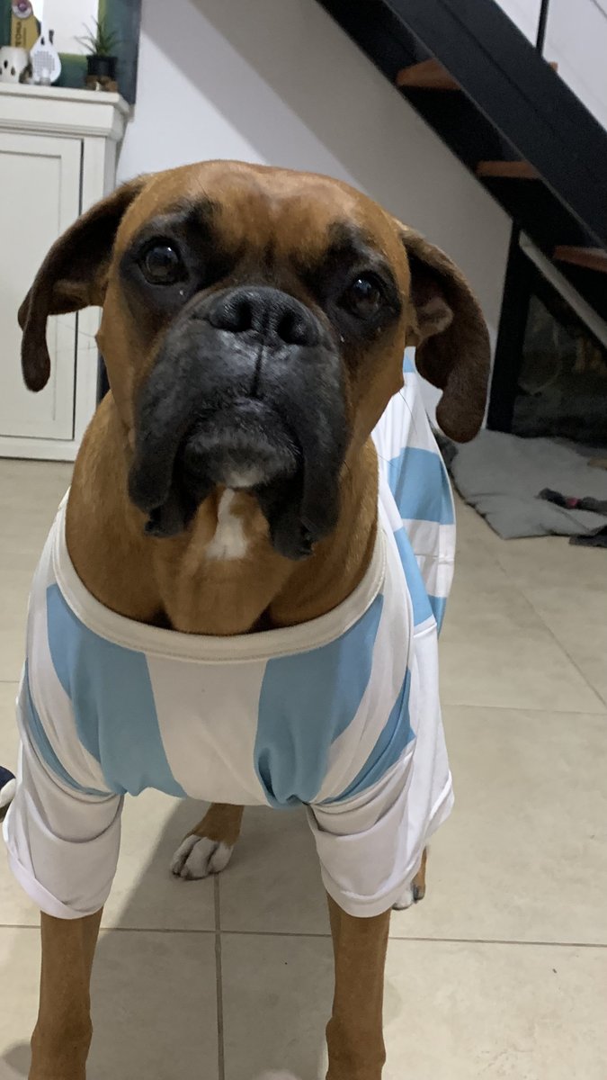 Foto de frente de Pedro alias el delincuente