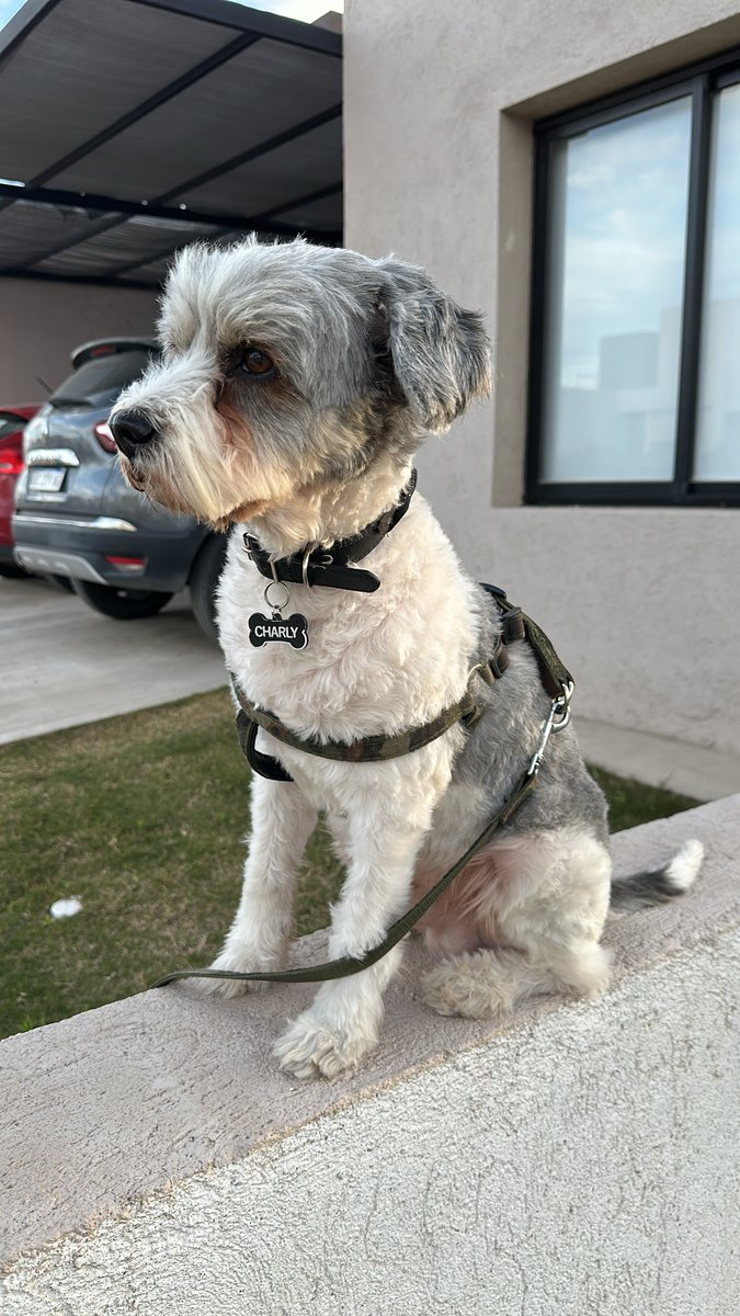 Foto de perfil de Charly