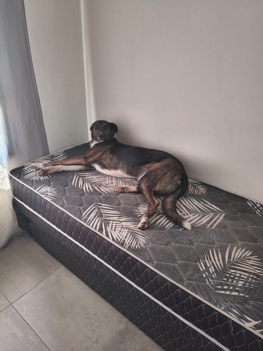 Foto de perfil de Juan