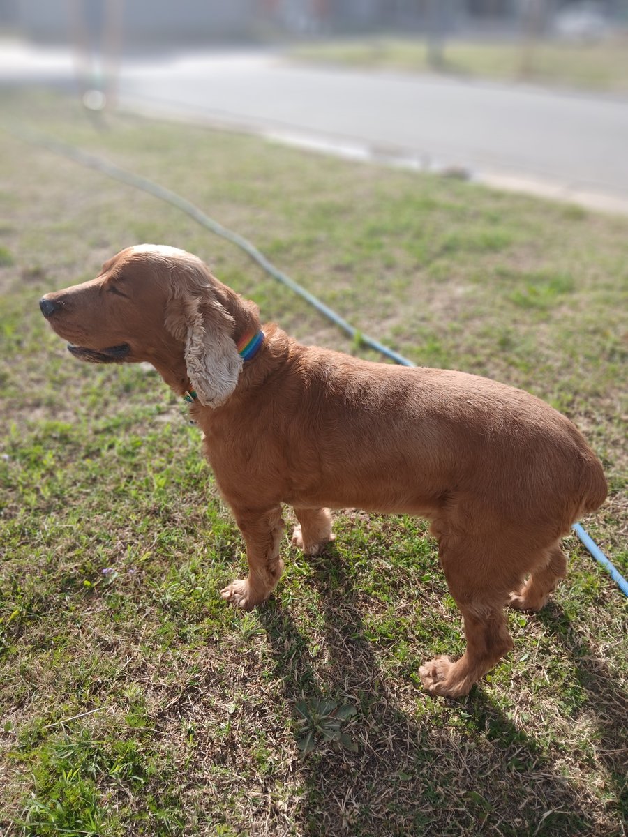 Foto de perfil de Yaco