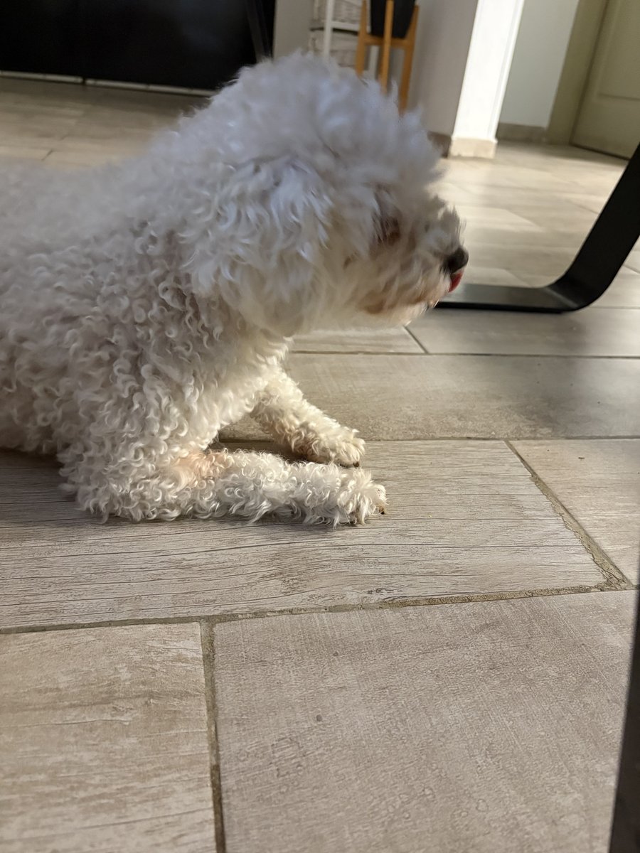 Foto de perfil de Ámbar