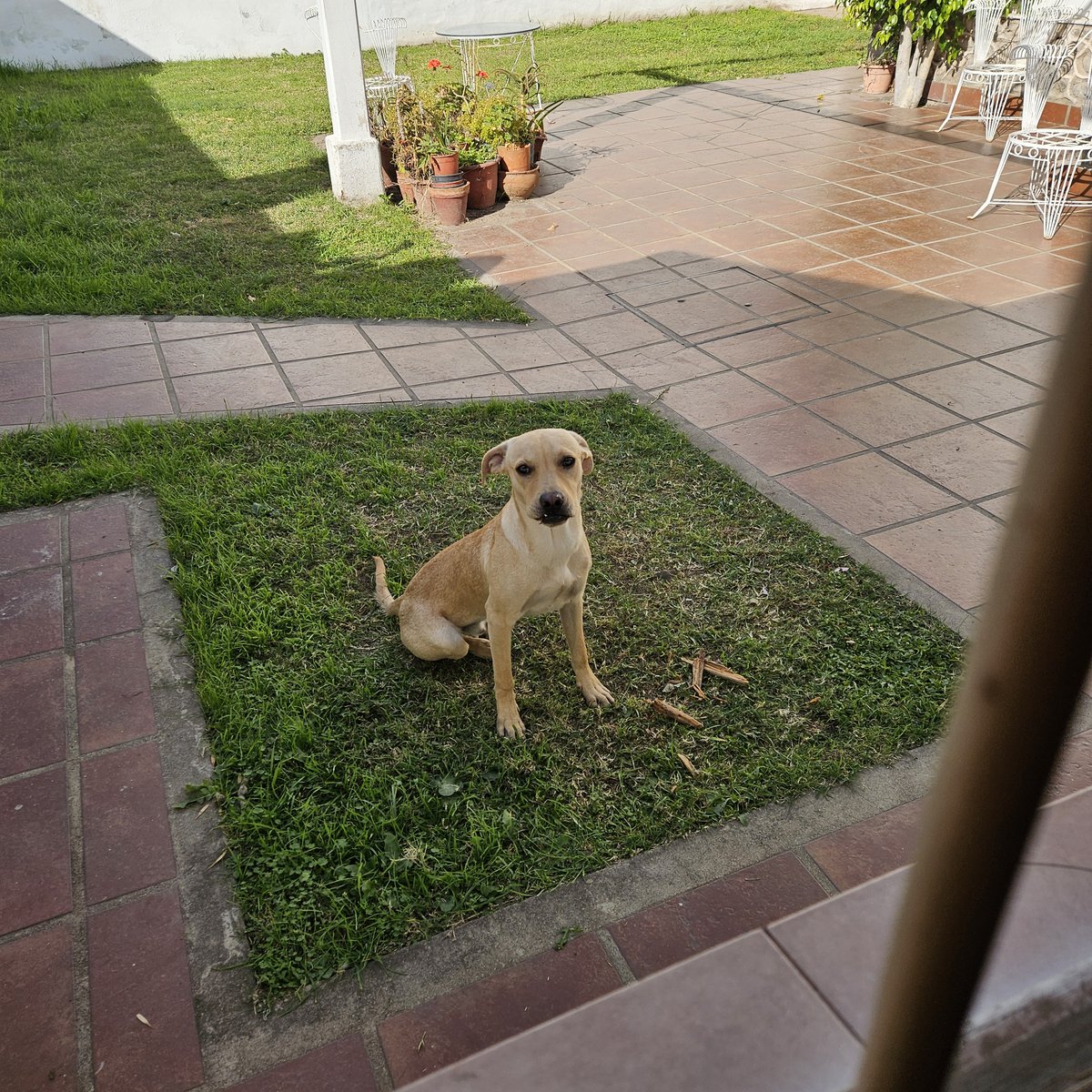 Foto de frente de Ruki