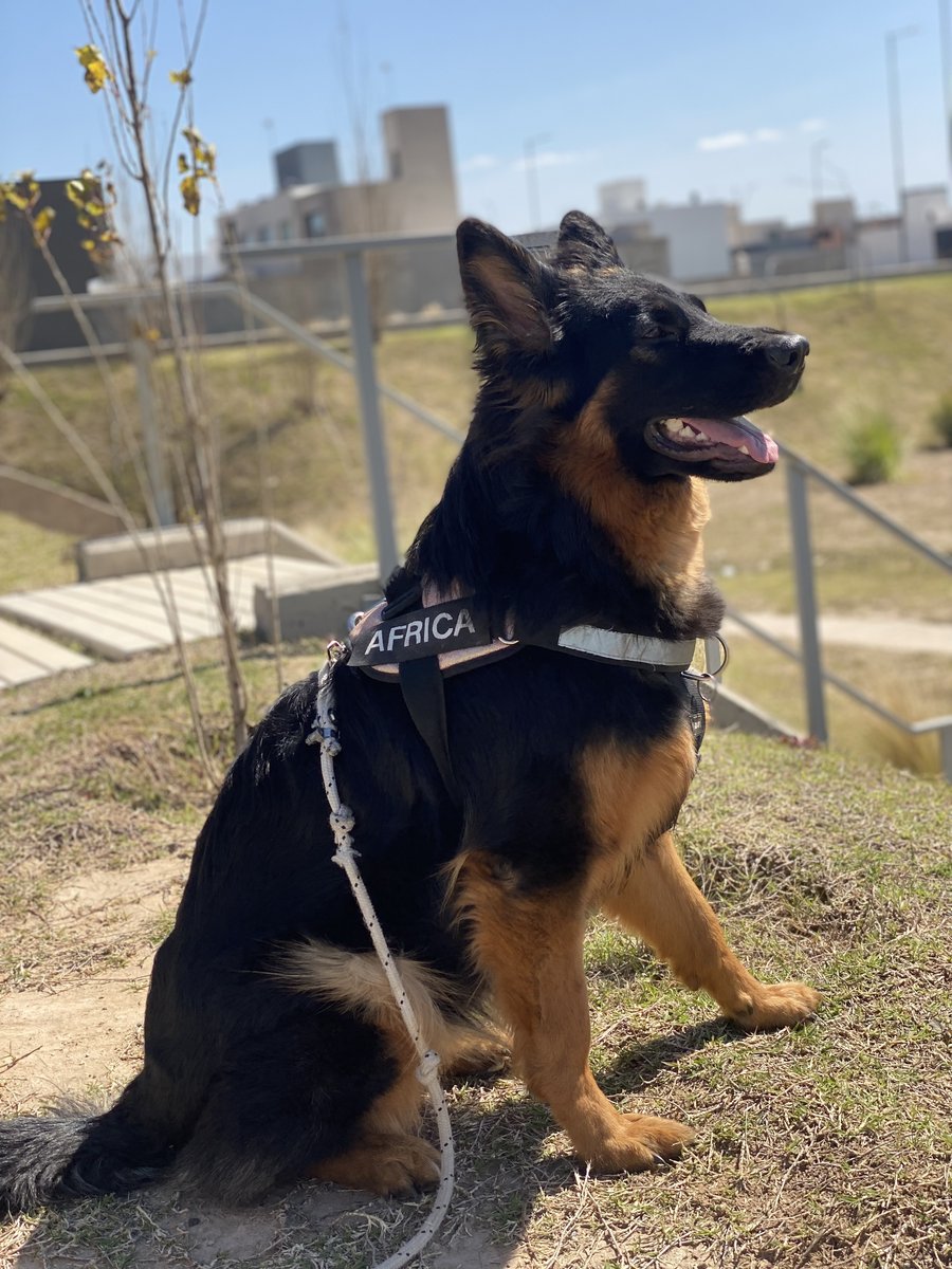 Foto de perfil de Africa