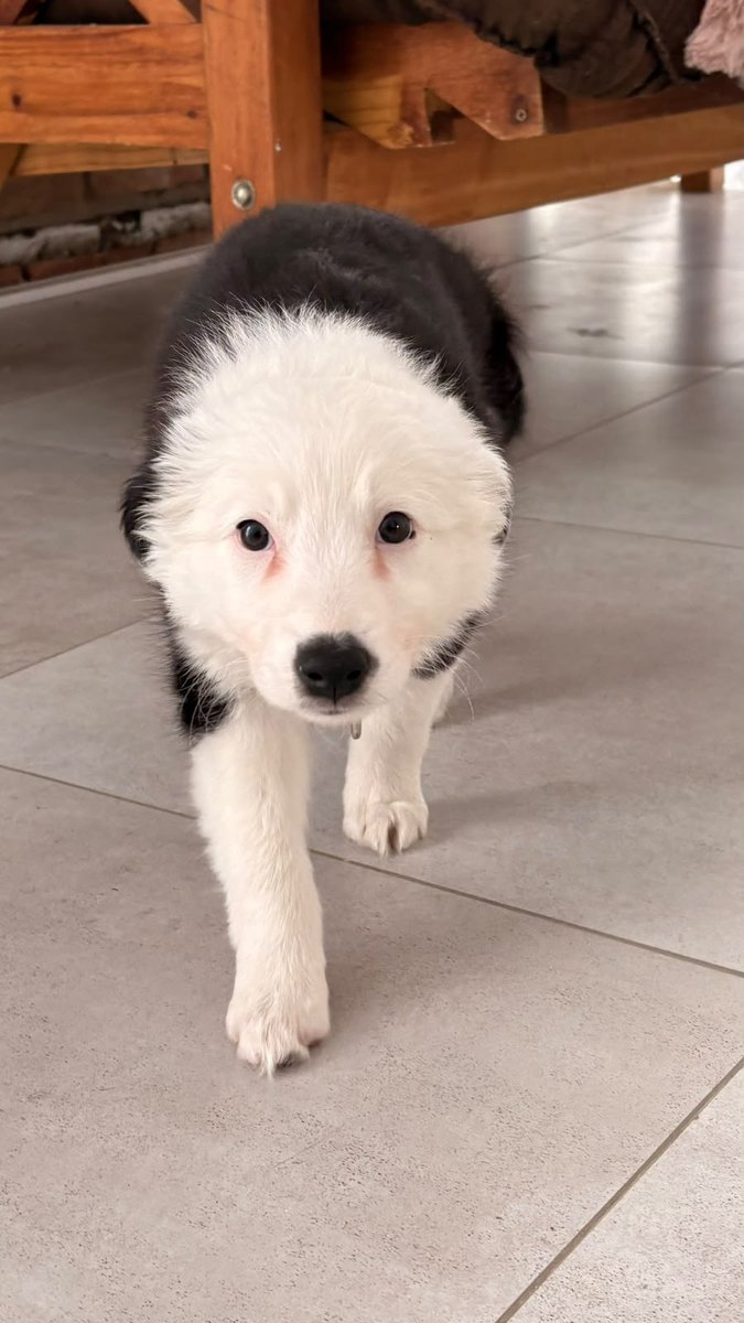 Foto de perfil de NAMI