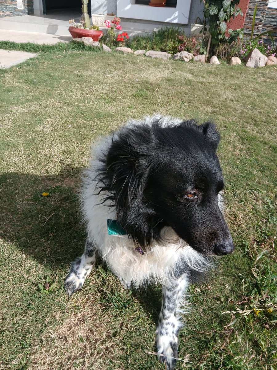 Foto de perfil de Brisa