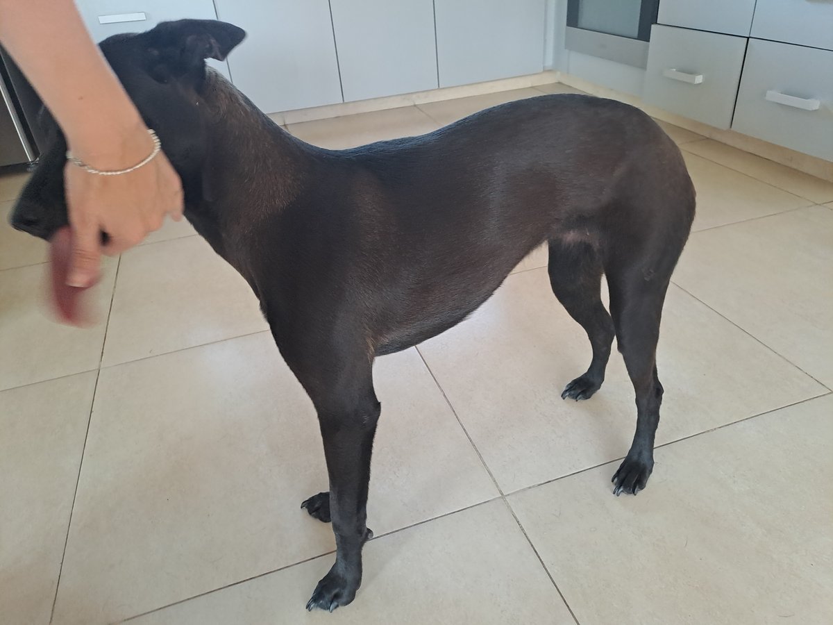 Foto de perfil de Tota