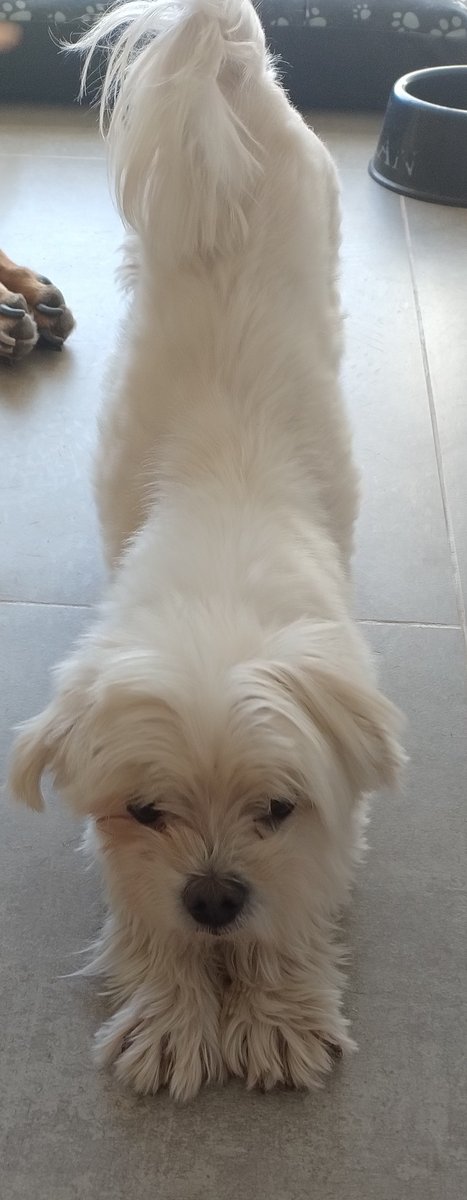 Foto de frente de Nicolas