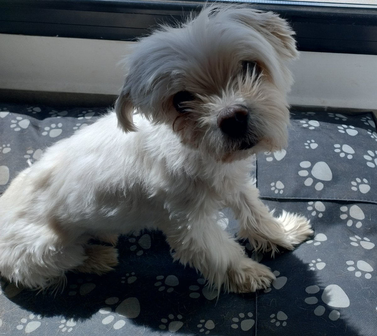 Foto de perfil de Nicolas
