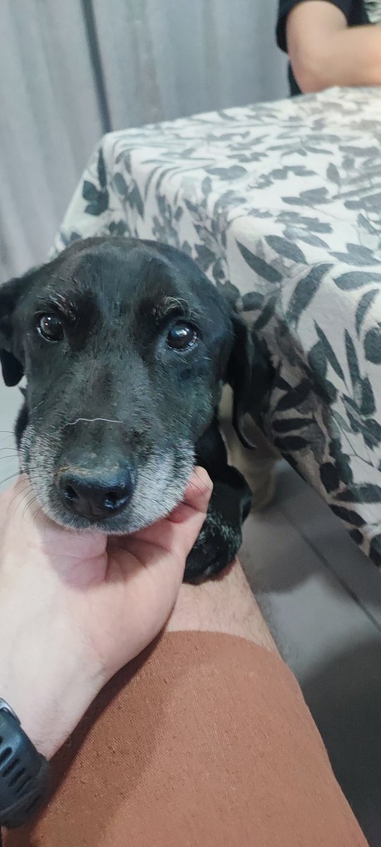 Foto de frente de Candela