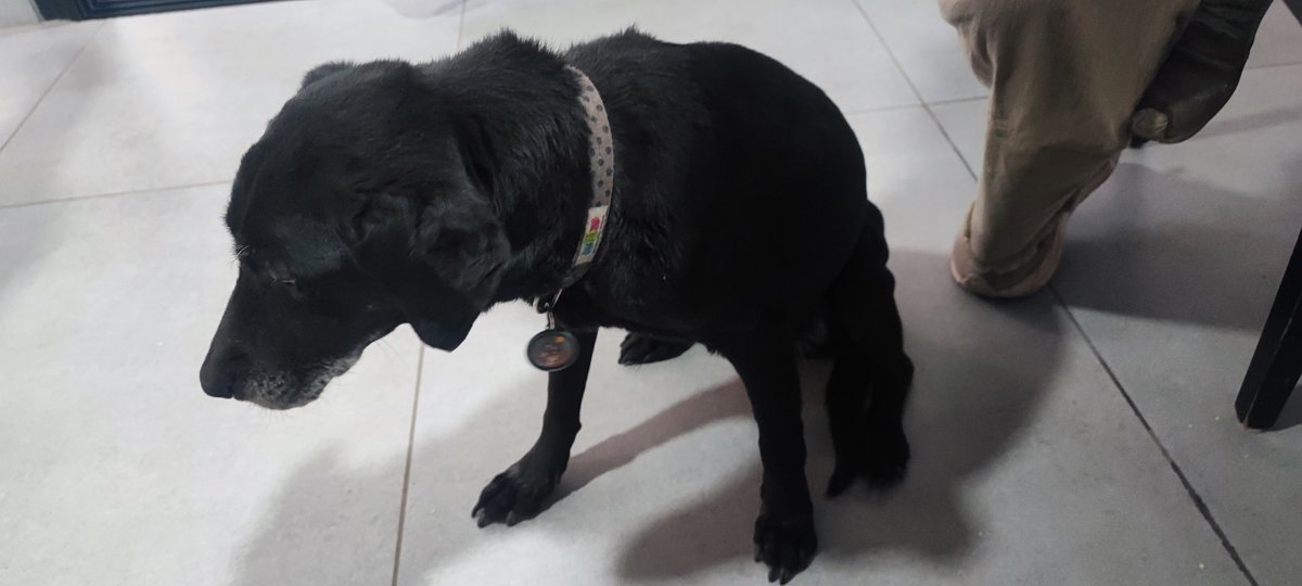 Foto de perfil de Candela