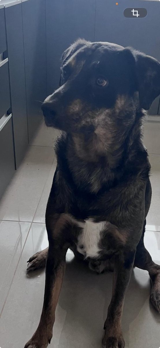 Foto de perfil de Max