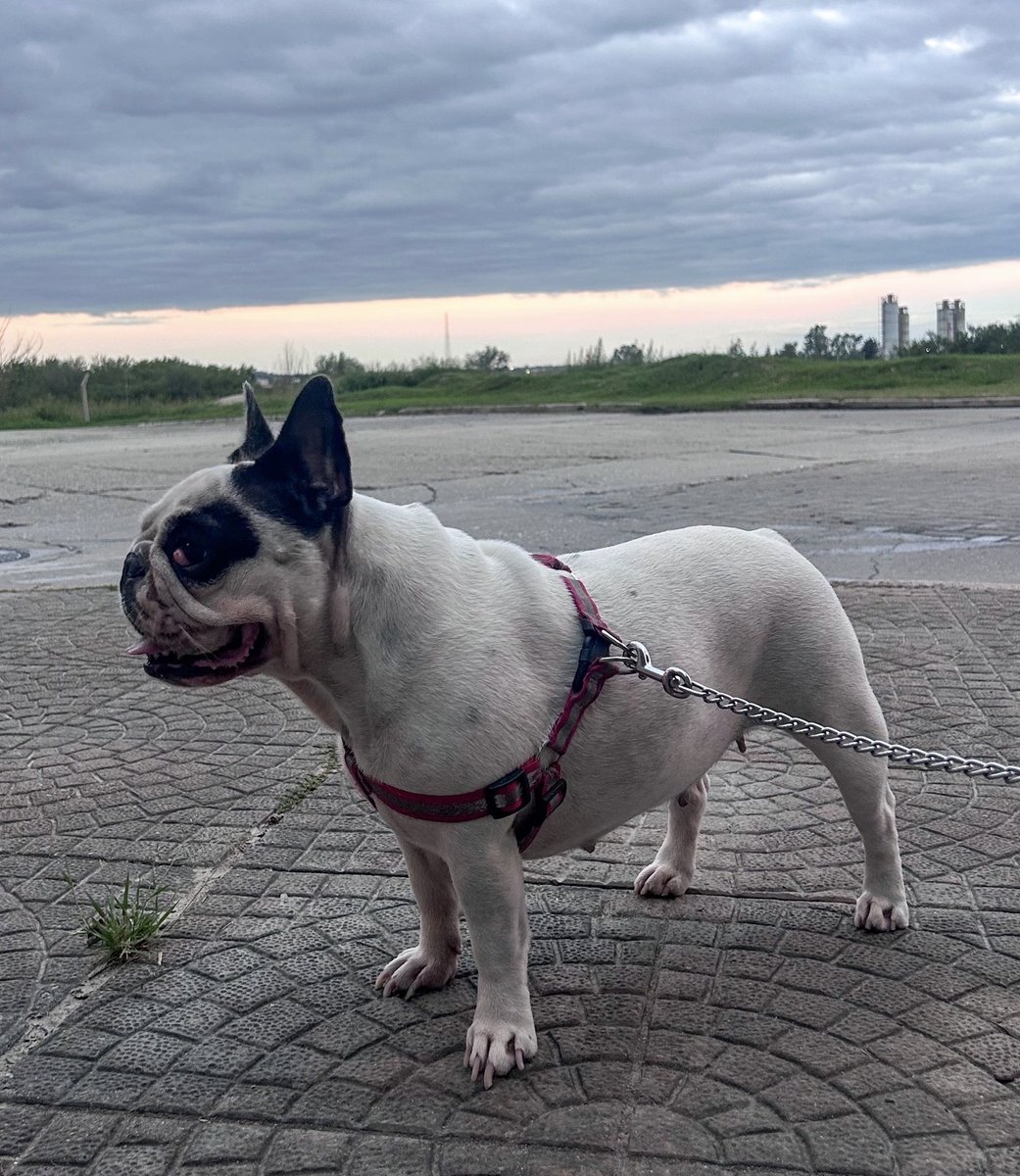 Foto de perfil de TEXAS