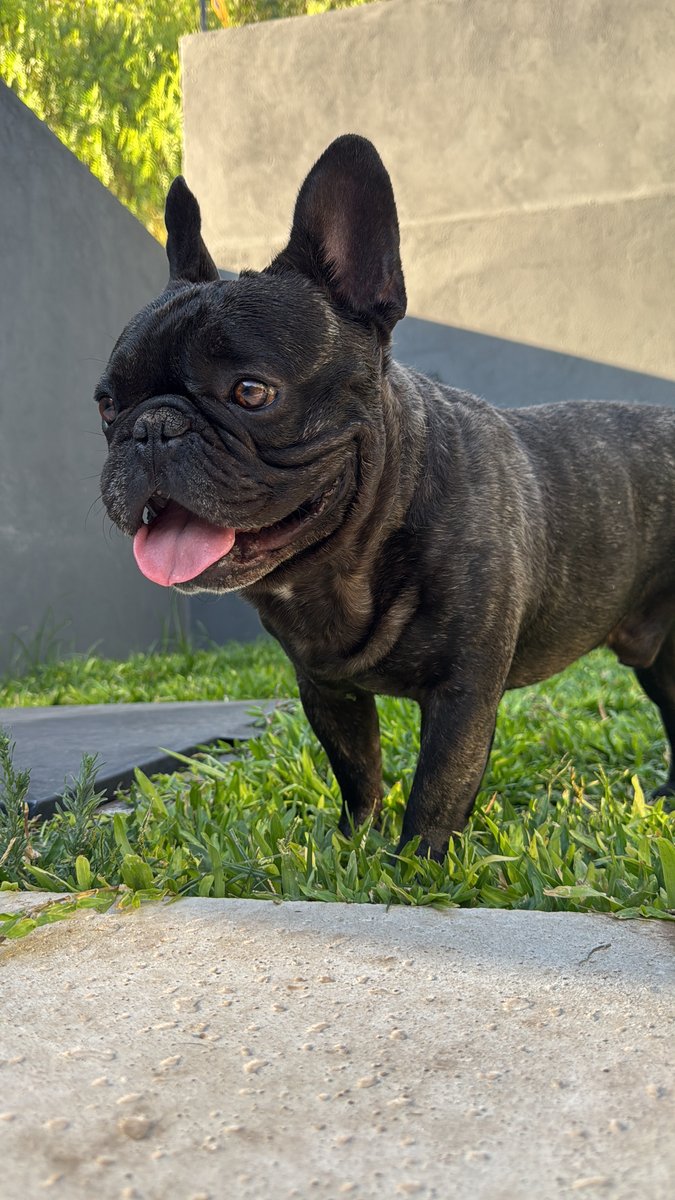 Foto de perfil de Homero