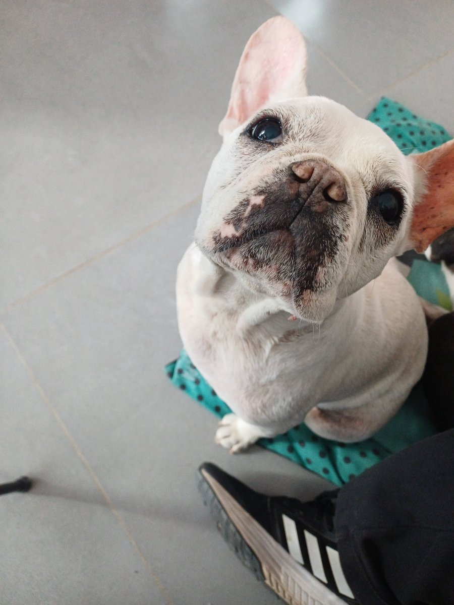 Foto de frente de Laila