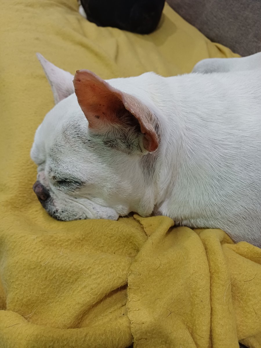 Foto de perfil de Laila