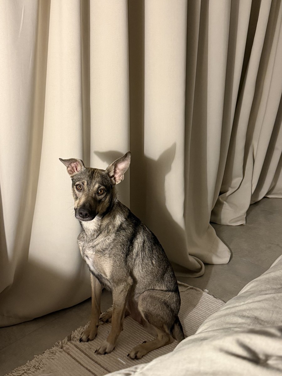 Foto de frente de Pirucha