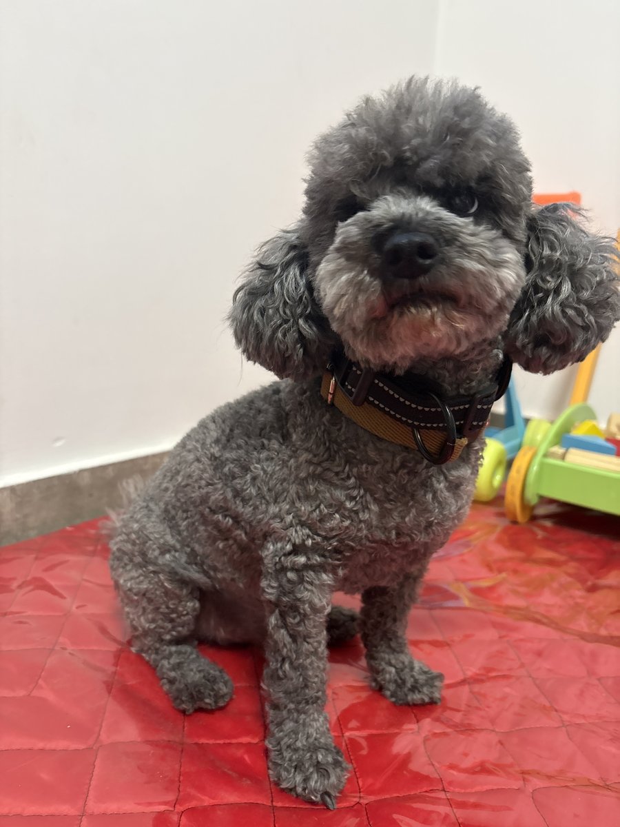 Foto de perfil de Charlie