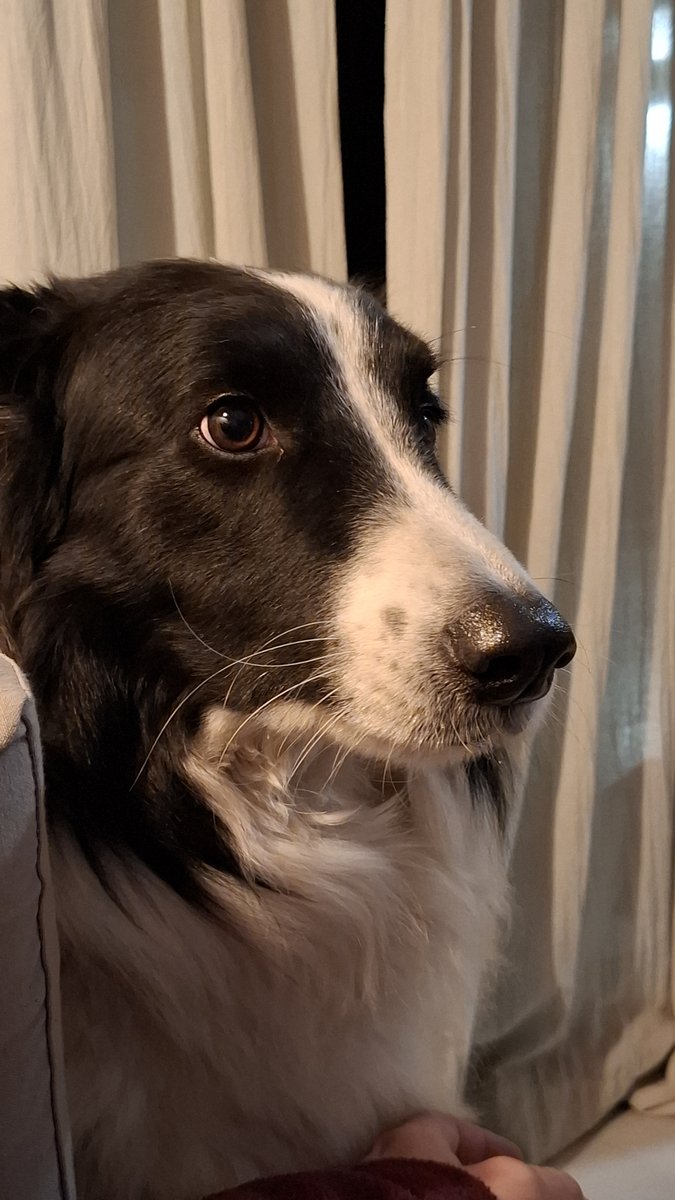 Foto de frente de Apolo