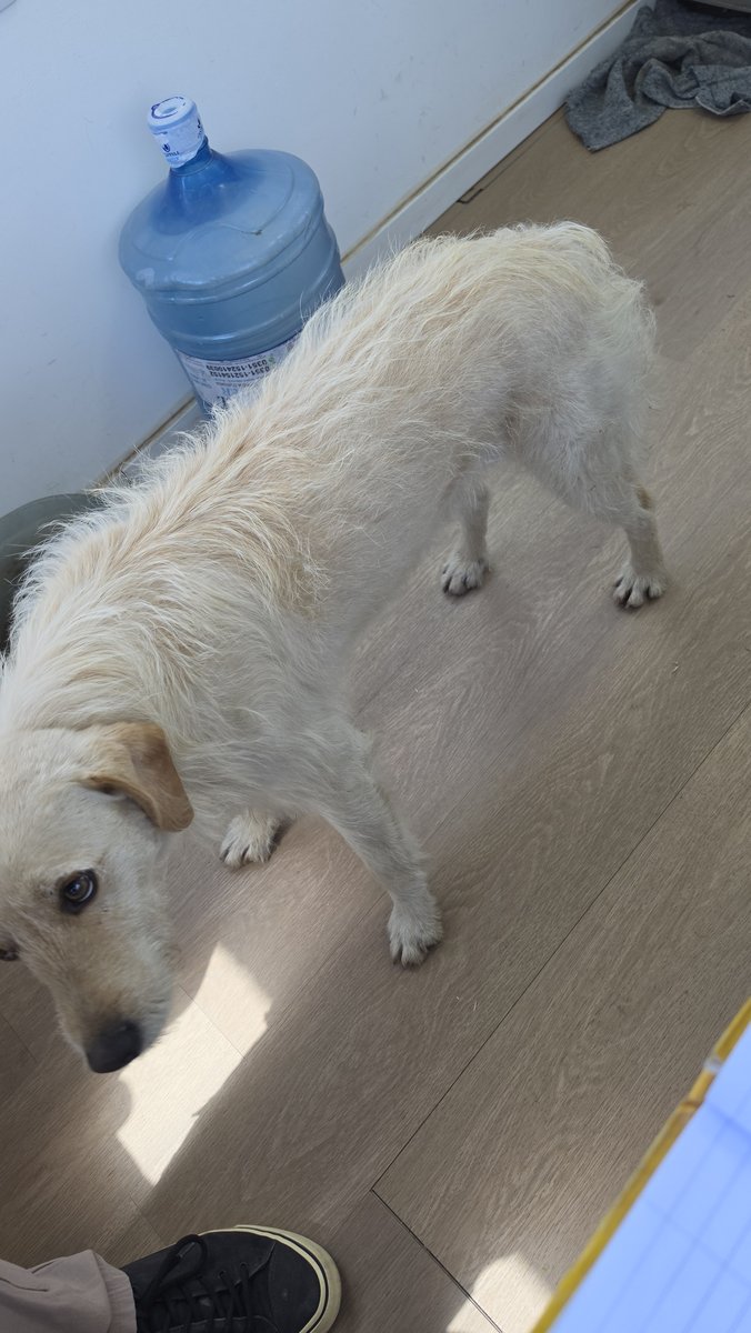 Foto de perfil de Milei